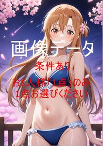 YAWR020 結城明日奈(アスナ) SAO 画像データ お一人様一点のみ(1円シリーズ全体で一点のみ) 