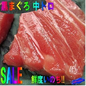 食通が唸る極上品「中トロ 柵500g」 脂の乗りはホボ大トロ極上黒(本)マグロ