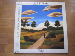 ■チューリップ（TULIP）　/　2222年ピクニック 　/　国内盤帯付きLPレコード　財津和夫