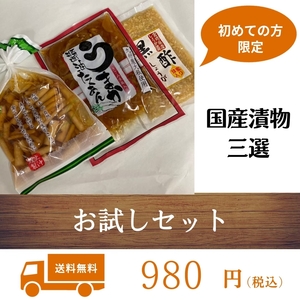 お漬物三種セット 《お試しセット》★初めて購入される方のみ限定★宮崎県産 九州グルメ ギフト 加工食品 送料無料 国産野菜 漬物 物産品