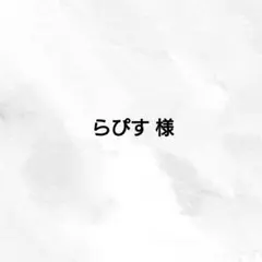 らぴす様 ご専用ページ 年内発送