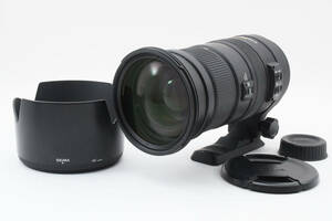 【完動美品】シグマ SIGMA APO 50-500mm f4.5-6.3 DG OS HSM for NIKON