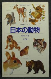 【超希少,新装版,新品並美品】古本　日本の動物　哺乳類　新装版　自然観察シリーズ１０　中央児童福祉審議会推薦図書　増井光子　小学館