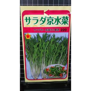 ３袋セット サラダ 京水菜 ミズナ 種 郵便は送料無料