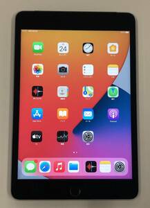 ★やや美品 iPad mini 第4世代 Wi-Fi+Cellular 16GB SIMフリー 格安SIM可 SoftBank ○ MK6Y2 J/A スペースグレー 中古 新古品 WD0698 