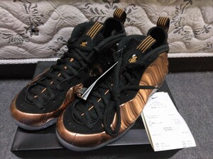 NIKE AIR FOAMPOSITE ONE BLACK/METALLIC COPPER 314996-007 エアフォームポジット ワン 国内正規品 US10 28cm 黒タグ 新品箱付 未使用 銅