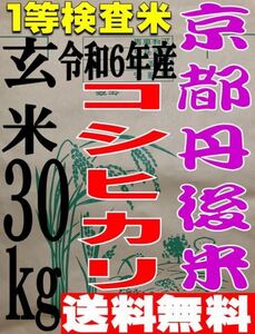 新米 送料無料 一等検査 玄米 令和6年産 京都 丹後 米 コシヒカリ