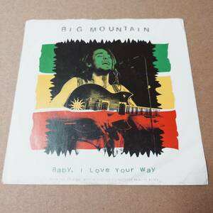 Big Mountain - Baby, I Love Your Way // RCA 7inch / Reggae Pop / AA4184