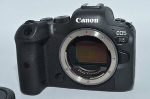★新品級★ キヤノン Canon ミラーレス一眼カメラ EOS R6 ボディ