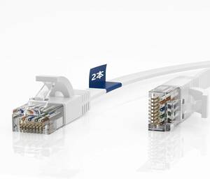 HiFind LANケーブル CAT6準拠 ウルトラフラットケーブル RJ45コネクタ ギガビット 爪折れ防止 柔らかい ホワイト ルーター 3M 2本