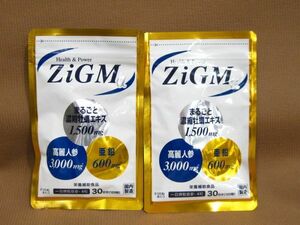 E1-247◇即決 未開封品 オルリンクス製薬 ZiGM α 30日分（120粒入り） まとめて 計2袋 賞味期限 2025.04 ジグムアルファ