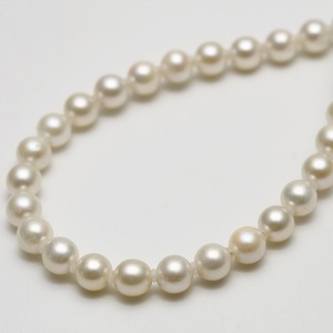 アコヤ真珠パールネックレス　5.0-5.5mm　ホワイトカラー