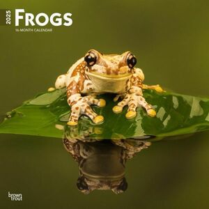 ★新品★送料無料★カエル 蛙 2025 カレンダー★Frog