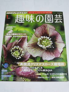 NHKテレビテキスト　趣味の園芸　2011年1月号　クリスマスローズ　プリムラ　サクラソウ　クレマチス　芽出し球根　BONSAI