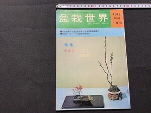 ｓ◎◎　昭和　雑誌　盆栽世界　昭和47年3月号　特集・古品盆栽仕立て(座談会)　樹石社　/ C45