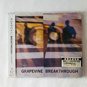 ● CD 未開封 BREAKTHROUGH+リアリティ GRAPEVINE グレイプバイン/シングル 新品 未使用 帯付き 117