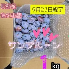 生プルーン約1kg キズなし！