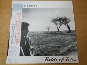 I5-130＜帯付LP/美品＞コリー・ハート / フィールズ・オブ・ファイア