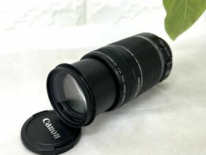 Canon キヤノン ZOOM LENS EF-S EFS 55-250mm 1:4-5.6 IS 58ｍｍ レンズ 動作未確認 fah 9K192