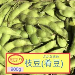 枝豆(肴豆)900g