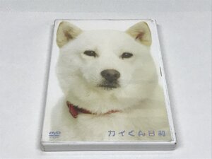 250　DVD　カイくん日和