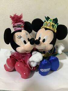 ディズニーランド（ミッキー&ミニー）カーニバル　ぬいぐるみ　2010　TDL TDR カーニバル　ミッキーマウス＆ミニーマウス　ぬいぐるみ）