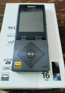 SONY WALKMAN NW-A25 中古