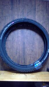 2本set!1本新品 SCHWALBE Dirty Dan 29