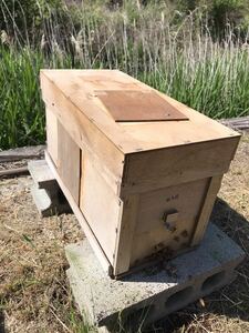 ミツバチ　西洋ミツバチ　販売　分蜂群　4枚群+1枚　産卵確認済み　手渡しのみ