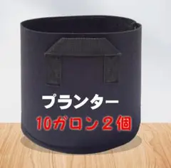 プランター 布鉢 不織布ポット 野菜栽培 家庭菜園 収納 10ガロン 2個セット