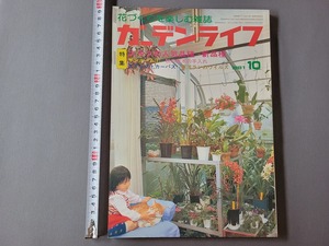 1981年10月号 ガーデンライフ 特集・大ギクの人気品種/新品種 他　誠文堂新光社　雑誌　園芸　/E