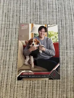 大谷翔平　2023 MVP カード　Topps now デコピン