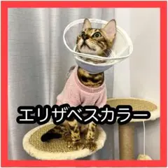 エリザベスカラー 猫 犬用 ソフト 軽量 布製 介護用品 手術後　ピンク　XL