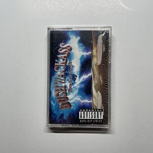 新品 Bushwackass / How Real Israel? // アングラ