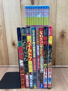 ミニコミ 「ワイルド7」パックA (1-10巻) +新ワイルド7 増刊総編集 書下ろし等計8冊/野獣の紋章　望月三起也　YDH828