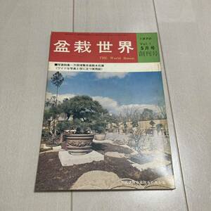 Q 昭和45年 1970年発行 創刊号 「盆栽世界」