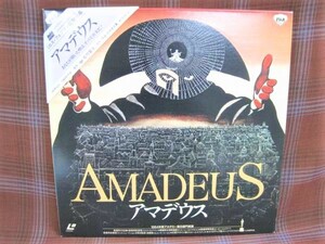 #L506●三角帯付LD 【 アマデウス 】