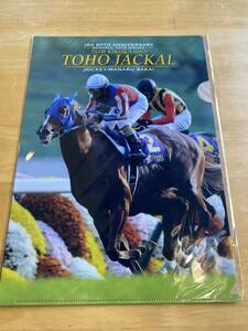 【G】競馬　クリアファイル　JRA60周年記念 トウホウジャッカル　第75回菊花賞