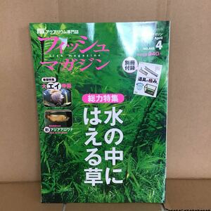 フィッシュマガジン 2003.4 く② 水の中にはえる草 大 エイ 帝国 ブラジル ボニート パンタナール 彩 アジアアロワナ