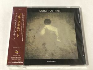 未使用 見本 シュリンク破れ BRUCE GILBERT ブルース・ギルバート MUSIC FOR FRUIT ミュージック・フォー・フルーツ プロモ盤