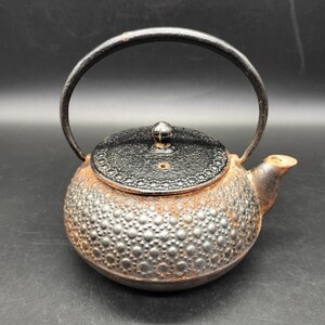 南部鉄器 鉄瓶 急須 茶道具 茶器 金属工芸 鉄器 アンティーク 鉄製 煎茶道具 南部鉄瓶 ツ4-4