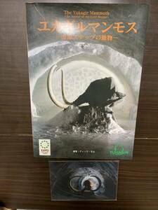 愛・地球博 万博 マンモス ユカギルマンモス EXPO 2005 AICHI 本 雑誌 パンフレット 絵葉書 ポストカード