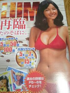 アグネス・ラム　　水着姿　ビキニ　SEXY　『大海物語スペシャルWithアグネス・ラム』　パチンコ　ガイドブック　小冊子　遊技カタログ