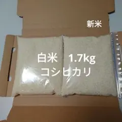 白米　1.7kg コシヒカリ