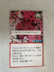 花の種