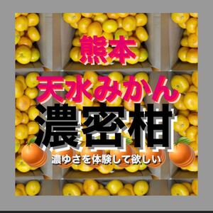 糖度14度　熊本天水　(肥のひかり)　みかん　　箱込み9キロ　Lから2Lサイズ