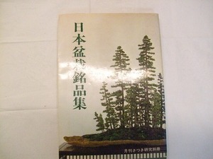 【中古品　趣味の園芸　盆栽　オールカラー写真集　】⑦