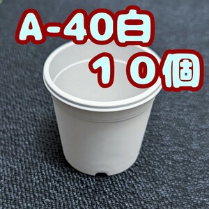 ◆送料無料◆プラ鉢【A-40】10個 スリット鉢 丸 プレステラ 多肉植物