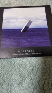 17歳とベルリンの壁 Abstract シューゲイザー