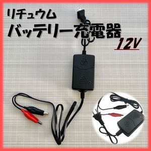 リチウムイオンバッテリー 充電器 バイク 12v クリップ 簡易 バッテリー充電器 オートバイ 自動車 小型 カーバッテリー チャージャー yo